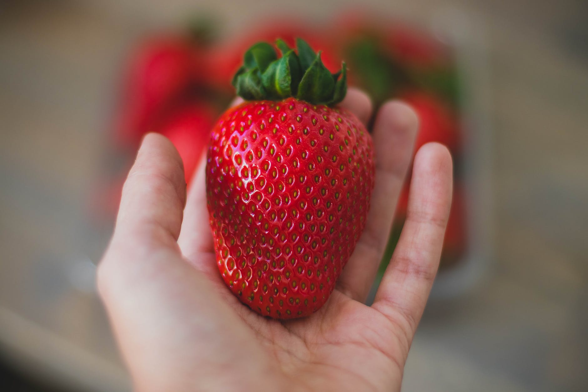 close up photography of strawberry